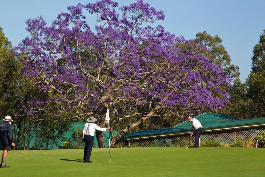 Golf Club Motor Inn Wingham Εξωτερικό φωτογραφία